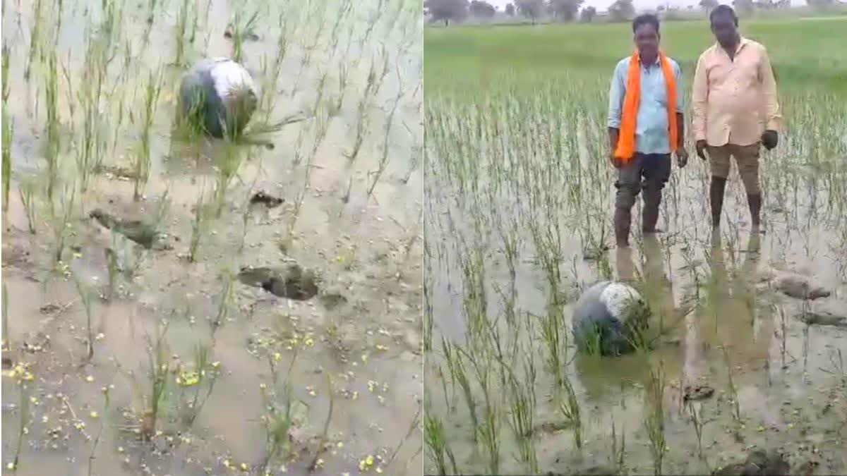 भितरवार के गांवों में गिरे रहस्यमय चमकदार गोले, खेतों में 2-3 फीट गहरे गड्डे हुए